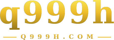 q999h logo